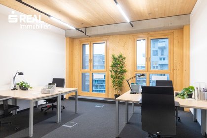 PRIVATE BÜROFLÄCHEN IN DER SEESTADT PRIVATE BÜROFLÄCHEN IN DER SEESTADT