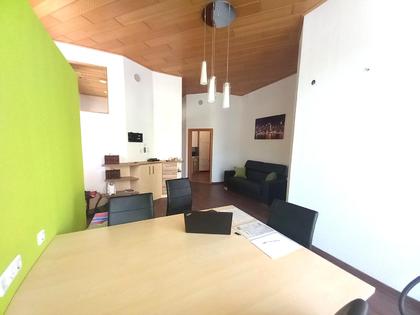 BÜROFLÄCHE MIT WERKSTATT NAHE DER WIENER STADTGRENZE BÜROFLÄCHE MIT WERKSTATT NAHE DER WIENER STADTGRENZE