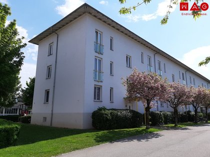 Wohnungen in 4400 Kleinraming