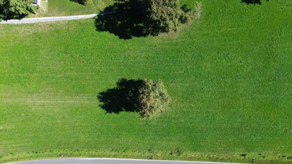 Grundstücke in 3261 Steinakirchen am Forst