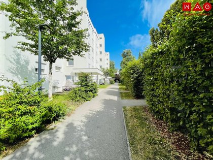 Wohnungen in 4020 Zaubertal