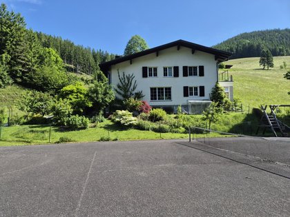 Häuser in 3341 Ybbsitz