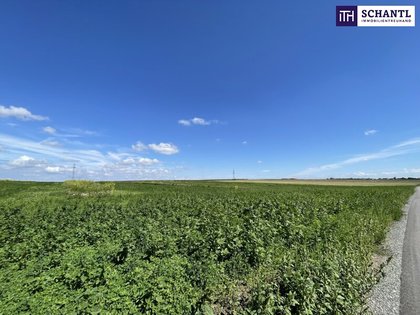 Grundstücke in 2440 Gramatneusiedl