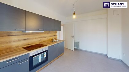 Wohnungen in 8010 01. Innere Stadt