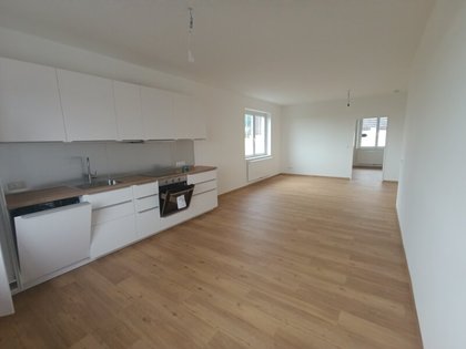 Wohnungen in 3712 Maissau