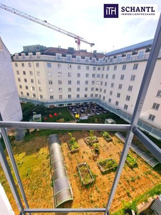 Zwischen Wiener Klassik und Naschmarkt Vibes - Ihr Zuhause mit Charme! Hofseitiger Balkon + Ruhiges Schlafzimmer! HIP und TRENDY die Gegend - Magisch schön das Altbauhaus - Ein MUST HAVE die Wohnung! Zwischen Wiener Klassik und Naschmarkt Vibes - Ihr Zuhause mit Charme! Hofseitiger Balkon + Ruhiges Schlafzimmer! HIP und TRENDY die Gegend - Magisch schön das Altbauhaus - Ein MUST HAVE die Wohnung!