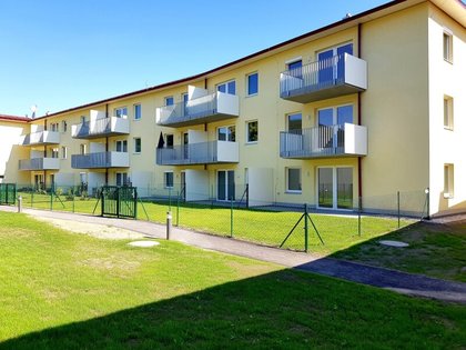 Wohnungen in 2534 Alland