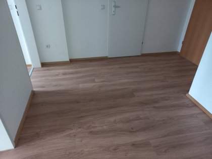 Wohnungen in 4400 Steyr