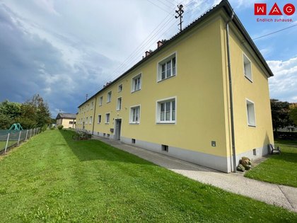Wohnungen in 4710 Grieskirchen