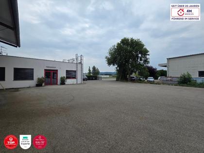 Hallen / Lager / Produktion in 3425 Langenlebarn-Unteraigen