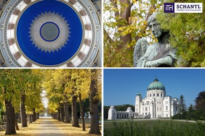 Wohnungen in 1110 Wien