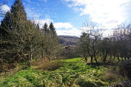 Grundstücke in 3001 Mauerbach