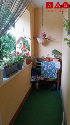 Wohnungen in 4400 Kleinraming