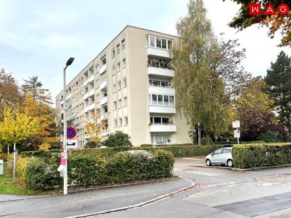Wohnungen in 4020 Friesenegg