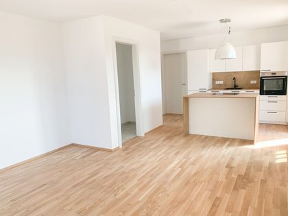 Wohnungen in 5071 Wals