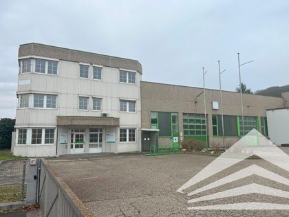 Hallen / Lager / Produktion in 4221 Steyregg