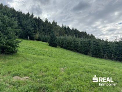 Grundstücke in 4452 Ternberg