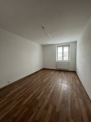 Wohnungen in 3950 Gmünd