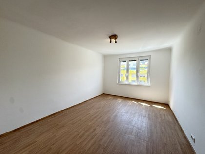 *Sanierungsbedürftiger Pärchenhit in absoluter Ruhelage bei Hernals* Ab sofort verfügbar!*