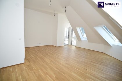 WOW - Ein wahrer DOM mit drei Zimmer, süßer Terrasse und bester Lage! WOW - Ein wahrer DOM mit drei Zimmer, süßer Terrasse und bester Lage!