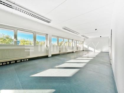 Büro, Werkstatt und großer Parkplatz in Toplage von Inzersdorf! Büro, Werkstatt und großer Parkplatz in Toplage von Inzersdorf!