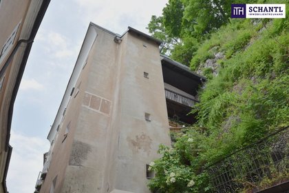 Wohnungen in 5020 Salzburg
