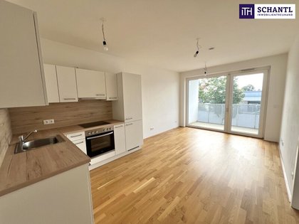 Wohnungen in 2700 Wiener Neustadt