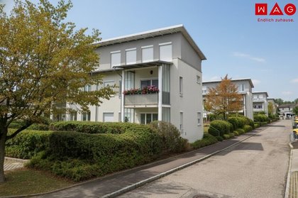 Büros /Praxen in 4053 Haid
