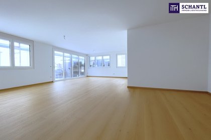 Wohnungen in 2320 Schwechat
