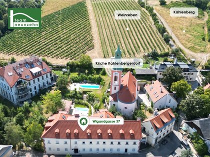 Entspannen und Geniessen ? sanierte Wohnung in Traumlage zwischen Donau und Weinbergen. - WOHNTRAUM