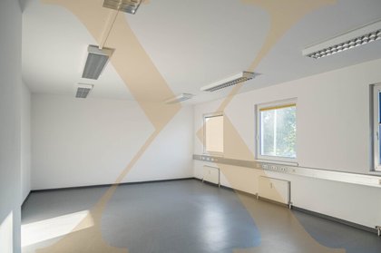 Büros /Praxen in 4600 Wels