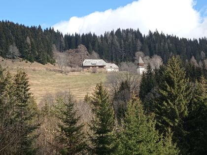 Land- / Forstwirtschaft in 9300 Sankt Veit an der Glan