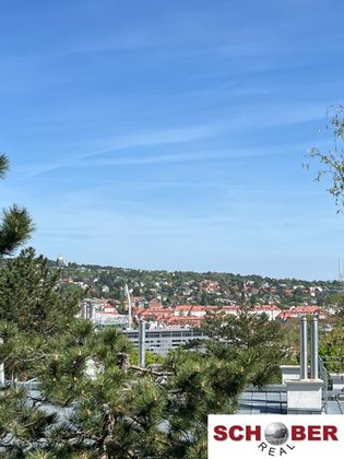 Dachgeschosswohnung mit Ausblick