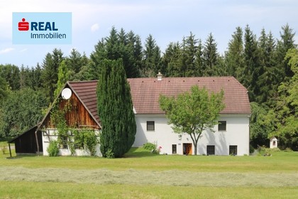 Häuser in 3353 Seitenstetten