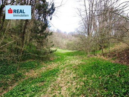 Land- / Forstwirtschaft in 3233 Kilb