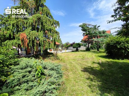 2542 Kottingbrunn/Baden bei Wien, Großes Potential  - Einfamilienhaus auf 1.800 m² Eigengrund