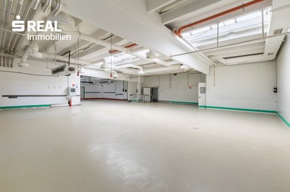 Hallen / Lager / Produktion in 2120 Wolkersdorf im Weinviertel
