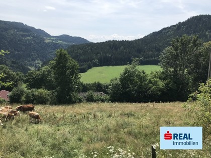 Grundstücke in 9560 Steuerberg
