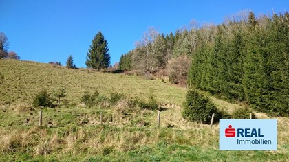 Grundstücke in 9571 Sirnitz