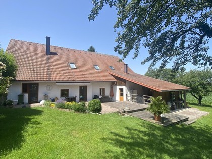 Häuser in 4692 Niederthalheim