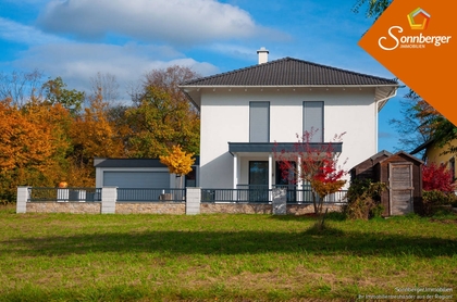 Häuser in 4222 Langenstein