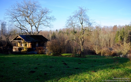 Grundstücke in 4400 Sankt Ulrich bei Steyr