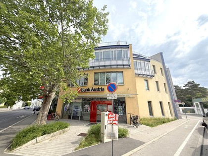 Büros /Praxen in 2340 Mödling