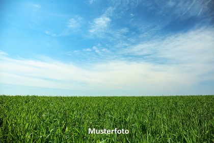 Land- / Forstwirtschaft in 3522 Erdweis