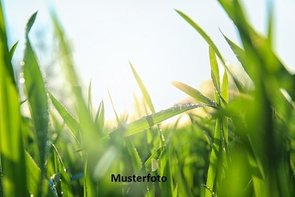 Land- / Forstwirtschaft in 9125 Kühnsdorf