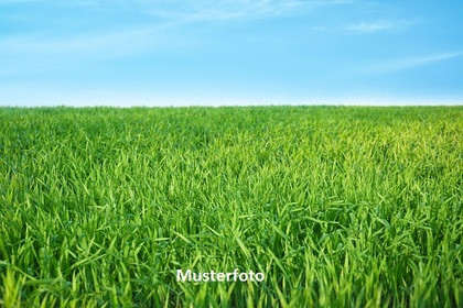 Land- / Forstwirtschaft in 3522 Erdweis