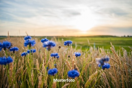 Hofstelle mit Waldgrundstück