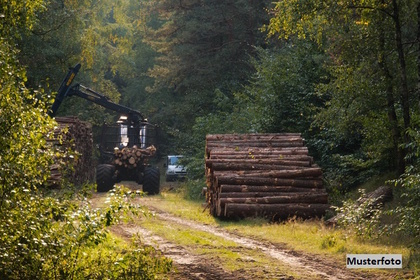 Waldfläche + provisionsfrei +