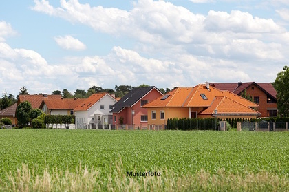 Einfamilienhaus mit Nebengebäude und Hütte