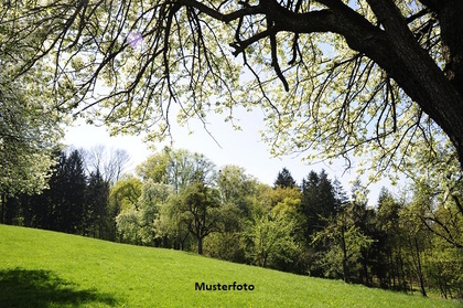 Grundstücke in 7344 Stoob
